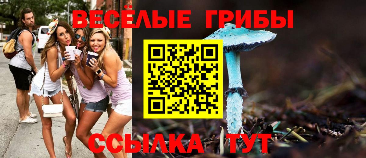 Псилоцибиновые грибы ЛСД  Вход с VPN  Каменск-Уральский 